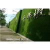 山东青岛市环保草坪布建筑墙-人工草皮密度高