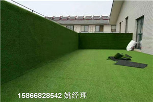 青岛地区环保检查环保草皮墙围-人造草坪今日