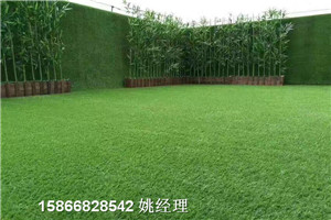 青岛地区草围挡墙-人造草坪制造商