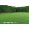 青岛地区装饰环保草皮墙-人造草坪(今日价格)