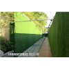 山东青岛市外墙绿围挡草坪-假草坪制造博翔远人造草坪厂