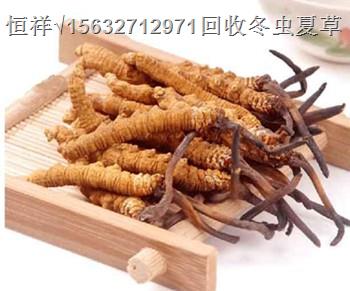 北京(收购-回收）冬虫夏草丨北京冬虫夏草回收价