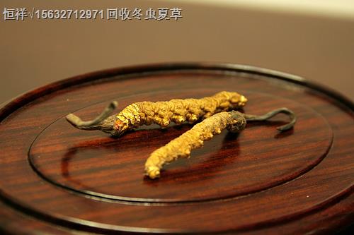 锦州(收购-回收）冬虫夏草丨锦州回收冬虫夏草