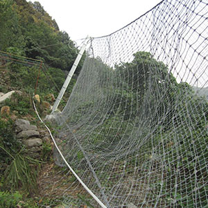 和硕度格栅网，山体护坡网供应现货