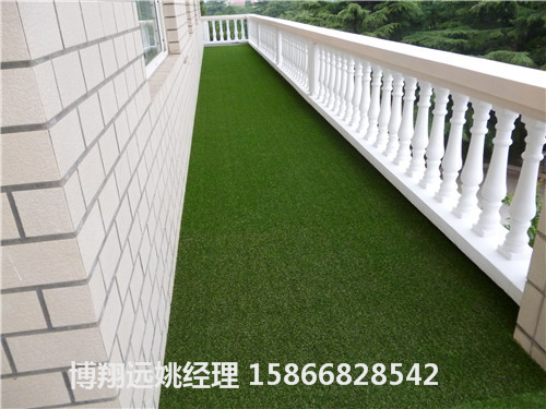 屋顶绿化草--滁州价格价优