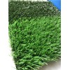 屋顶绿化草--滁州价格价优