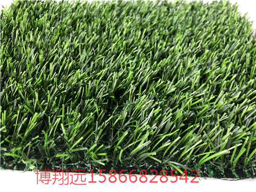 草坪式屋顶绿化--滁州检测标准