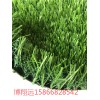 草坪屋顶绿化--锦州厚度规格