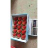 重庆市法兰地草莓大棚亩产是多少斤