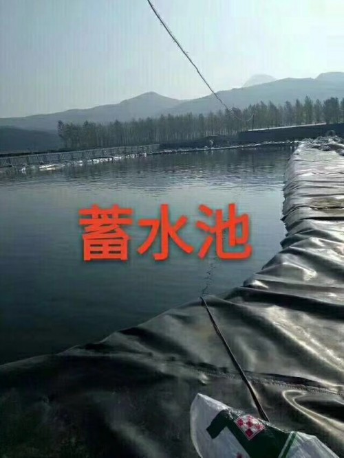桂林人工湖复合防渗膜1000克哪家便宜？