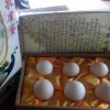 青海省玉树藏族自治州哪里有卖大火鸡的