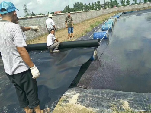 新闻：九江覆膜膨润土防水毯5000克批发价格