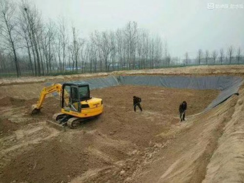 新闻：枣庄渗滤液复合排水网900克支持定制